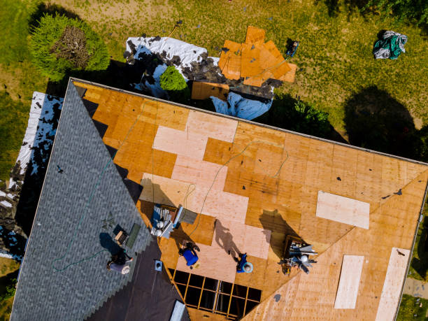 Best Metal Roofing Contractor  in Utqiagvik, AK